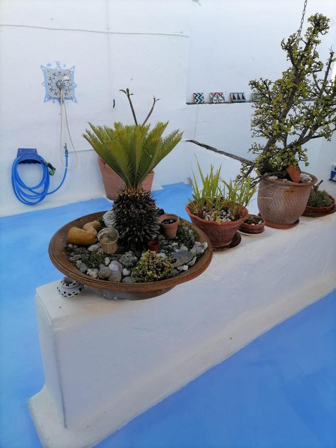 Apartamento Barroso 4 By 7escalones *
